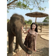 批发Pinksoya粉豆子 辣妹豹纹蝴蝶结吊带背心女<b class='q'>夏</b>季新款雪纺抹胸上衣