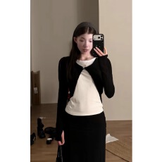 批发H3532简知行新品上新简约小众假两件上衣百搭经典撞色衣服女