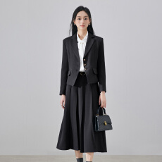 批发单排扣西装半身裙两件套<b class='q'>职业</b>女装2025秋季简约干练气质高级感西服