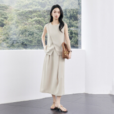 批发<b class='q'>职业</b>港式名媛马甲外套夏季高级感简约女神范干练通勤修身马甲套装