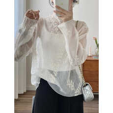 批发<b class='q'>韩版</b>新款小立领刺绣花朵衬衣长袖蕾丝罩衫细压皱雪纺仙女上衣