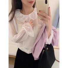 批发甜美风百搭蕾丝衫2026韩版宽松荷叶边领内搭透视网纱打底衫女上衣