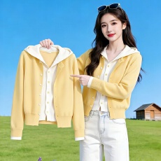 批发韩系连帽假两件针织衫女<b class='q'>春</b>秋新款毛衣开衫设计感显瘦长袖上衣