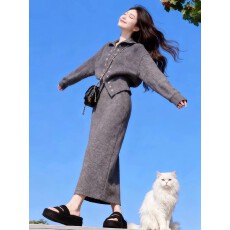 批发韩风chic一整套超好看复古灰色针织开衫a字半裙两件套装2025冬季