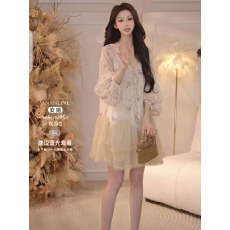 金枝玉叶高奢系列！原创设计2026年新款定制刺绣连衣裙