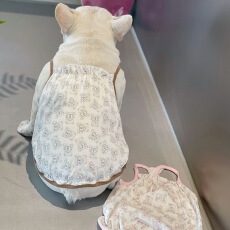 批发狗狗夏装法斗巴哥吊带<b class='q'>衣服</b>宠物西高地雪纳瑞透气薄款背心比熊裙子