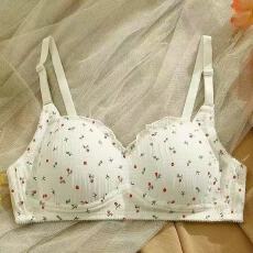 批发<b class='q'>学生</b>碎花内衣小胸聚拢初高中<b class='q'>学生</b>发育期<b class='q'>文胸</b>无钢圈大胸显小胸罩