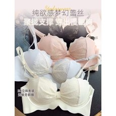 批发梦幻天使聚拢小胸显大收副乳防下垂纯欲蕾丝无钢圈上托文胸罩套装