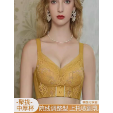 批发无钢圈院线调整型内衣女士托胸聚拢收副乳裸感养护蕾丝<b class='q'>文胸</b>