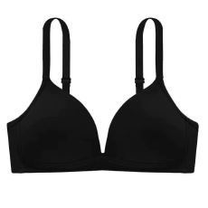 批发森迪内衣<b class='q'>文胸</b>罩旅游小胸聚拢薄款三角杯无痕<b class='q'>学生</b>高中生少女胸罩