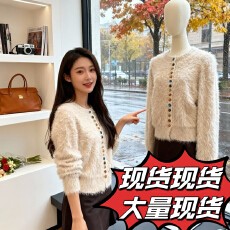 批发别致新款独特2025年女士高档洋气女款<b class='q'>气质</b>高级感漂亮大气上衣毛衣