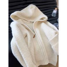 批发秋季连帽仿羊羔毛绒颗粒绒宽松小个子休闲正肩<b class='q'>短</b>款外套2025新款女