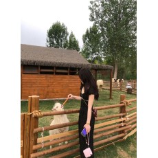 批发2026新款高级感收腰鱼尾包臀长裙小飞<b class='q'>袖</b>蕾丝波点设计感简约女夏装