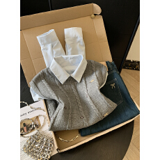 批发实拍时尚两件套装螺纹刺绣针织马甲长袖衬衫女冬新款<b class='q'>百搭</b>叠穿上衣