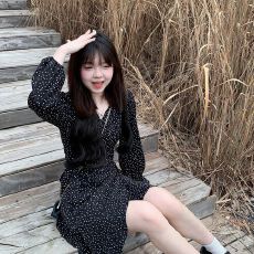批发波点长袖V领雪纺<b class='q'>连衣裙</b>女秋装气质泡泡袖短裙温柔收腰显瘦a字裙子