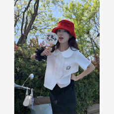 批发韩式甜美学院风翻领刺绣短袖衬衫女夏季新款宽松小个子短款上衣服