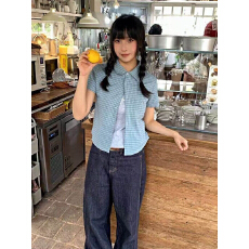 批发韩系学院风格纹衬衫女短袖翻领显瘦夏新款别致上衣