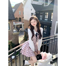 批发Q女家 芭蕾少女的礼物/甜美千金粉色蛋糕连衣裙秋冬生日高知短裙