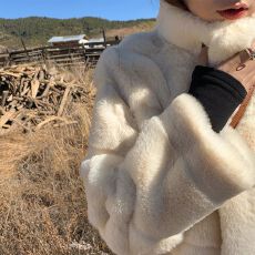 批发设计感外搭法式高领别致棉衣<b class='q'>短外套</b>夹棉高级感棉服秋冬轻奢拍皮草