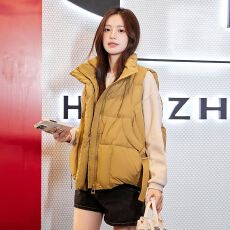 批发羽绒棉工厂直销立领羽绒马甲女<b class='q'>冬</b>季新款时尚百搭加厚宽松韩版马夹