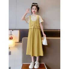 批发<b class='q'>女童</b>连<b class='q'>衣裙</b>夏装2025新款儿童洋气背带棉布裙中大童假两件时髦裙子