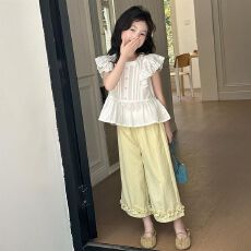 批发女童套装夏装2025新款洋气童装女孩夏季短袖九分裤儿童两件套薄款
