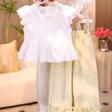 批发女童套装夏装2025新款洋气童装女孩夏季短袖九分裤儿童两件套薄款
