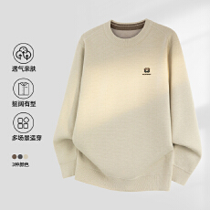 2025新款雪貂圆领加绒加厚外穿休闲男