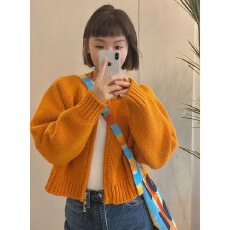 批发秋季新款法式温柔<b class='q'>短款</b>上衣粗针拉链式<b class='q'>针织</b>毛衣<b class='q'>开衫</b>外套女装