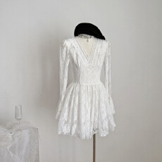 批发项天鹅er V领蕾丝<b class='q'>连衣裙</b>女2025秋冬新款长袖a字裙法式气质裙子