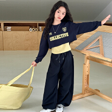 批发<b class='q'>女</b><b class='q'>童</b>套装春秋款2025新款儿童洋气潮炸街超好看休闲运动秋装三件套