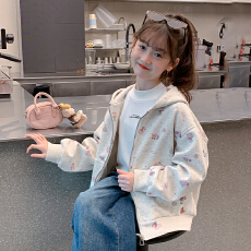批发女童外套春秋款2025新款洋气儿童秋装小女孩超好看运动连帽上衣潮