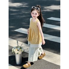 批发<b class='q'>女</b><b class='q'>童</b>2026夏季新款套装格子洋气潮流娃娃儿童女孩阔腿裤薄款两件套