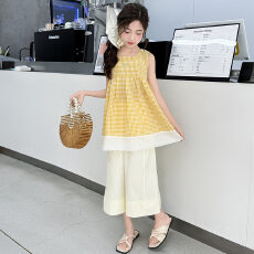 批发<b class='q'>女</b><b class='q'>童</b>2026夏季新款套装格子洋气潮流娃娃儿童女孩阔腿裤薄款两件套