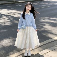 批发<b class='q'>女</b><b class='q'>童</b>韩系穿搭学院风翻领卫衣套装裙2026新款女大童独特绝美连衣裙