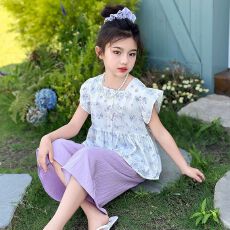 批发<b class='q'>女童</b>夏<b class='q'>季</b>套装新款洋气时髦儿童装无袖碎花<b class='q'>娃娃衫</b>韩系阔腿裤两件套