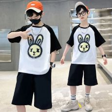 批发【纯棉套装200克短袖+裤子中大童<b class='q'>男童</b>短<b class='q'>袖</b>T恤夏两件运动休闲套装