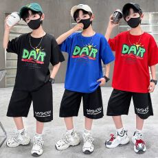 批发【纯棉套装宽松版200克短袖+纯棉裤子中大童<b class='q'>男童</b>短<b class='q'>袖</b>夏季两件套装