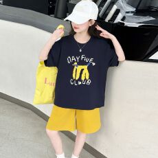 批发【纯棉套装宽松版200克短袖+纯棉裤子童装男童<b class='q'>女童</b>短<b class='q'>袖</b>夏两件套装