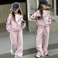 批发<b class='q'>女童</b>套<b class='q'>装</b>秋装2025新款中大童洋气卫衣儿童外套公主风带帽卫裤时髦