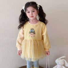 批发2025新款<b class='q'>女</b>童<b class='q'>春</b><b class='q'>秋</b>季<b class='q'>打底裤</b>甜美<b class='q'>女</b>孩中小儿童<b class='q'>女</b><b class='q'>宝宝</b>网纱卫衣裙套装