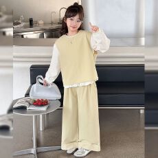批发<b class='q'>女</b><b class='q'>童</b>春秋甜美时尚花边马甲<b class='q'>三件套</b>2025新款中大儿童女孩阔腿裤套装