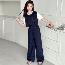 批发女大童套装<b class='q'>夏</b>季新款洋气儿童假两件短袖裤子韩版气质中大童两件套