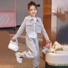 批发女童时尚短款卫衣套装春秋季新款小女孩公主风韩版<b class='q'>儿童</b>休闲两件套