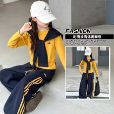 批发女<b class='q'>童</b><b class='q'>套装</b><b class='q'>新</b>款春秋装潮酷儿<b class='q'>童</b>洋气时髦中<b class='q'>大</b><b class='q'>童</b>韩系披肩阔腿裤三件套
