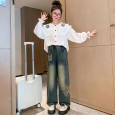 批发<b class='q'>女童</b>娃娃<b class='q'>领</b>甜美可爱<b class='q'>衬衫</b>上衣中大童女孩春秋季新款洋气公主风上衣