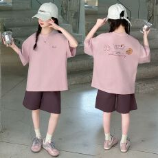 批发上衣纯棉+裤子酷丝绵 两件套女童夏套装时尚短袖短裤t恤两件套