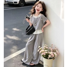 批发<b class='q'>女童</b>短<b class='q'>袖套</b>装夏2026新款儿童洋气时髦长裤女孩大童韩系假两件t恤