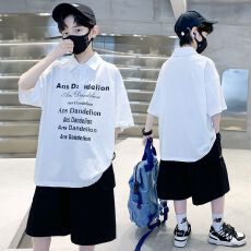 批发<b class='q'>男</b><b class='q'>童</b>polo衫短袖时尚夏季韩版2025新款帅气男孩上衣大儿童夏装外穿