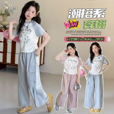 批发<b class='q'>女</b><b class='q'>童</b>蝴蝶小狗套装2026夏季新款时尚休闲T恤工装裤中大童两件套潮